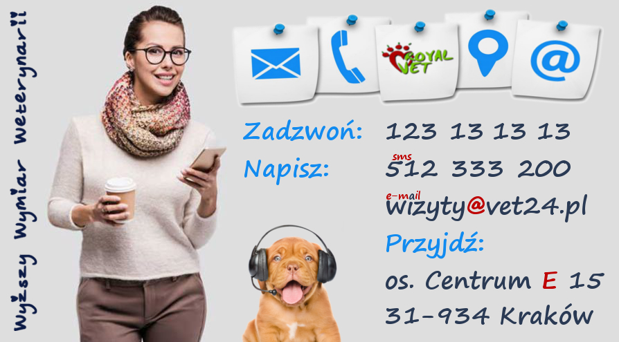 weterynarz Kraków kontakt